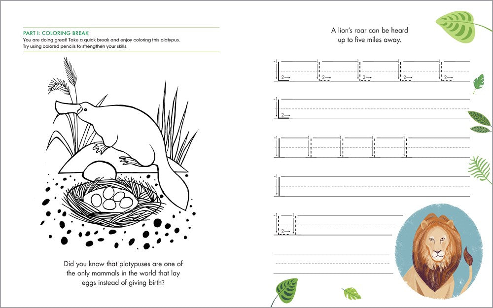 The Print Penmanship Workbook for Kids: Improve Your Handwriting with Fun Animal Facts