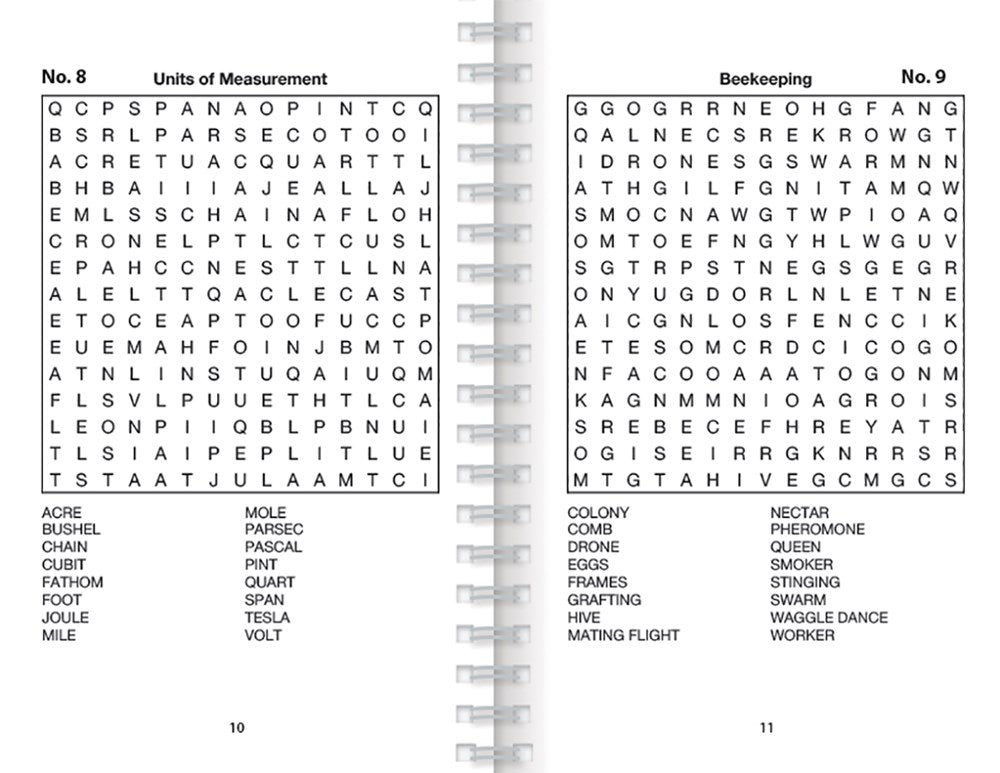 Word Search Puzzles (Big Book of Puzzles) (Brain Busters)