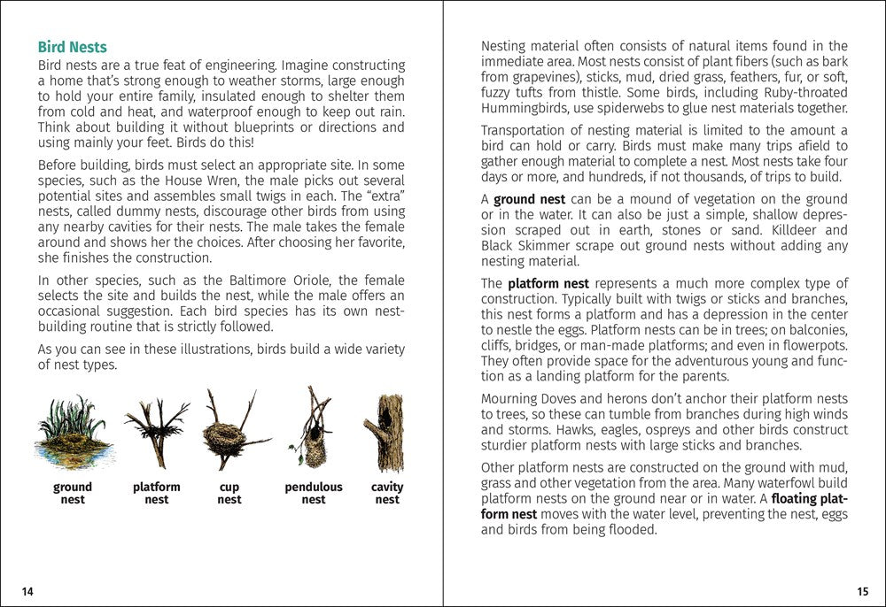 Birds of Florida Field Guide (Bird Identification Guides)