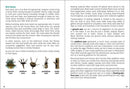Birds of Florida Field Guide (Bird Identification Guides)