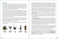 Birds of Florida Field Guide (Bird Identification Guides)