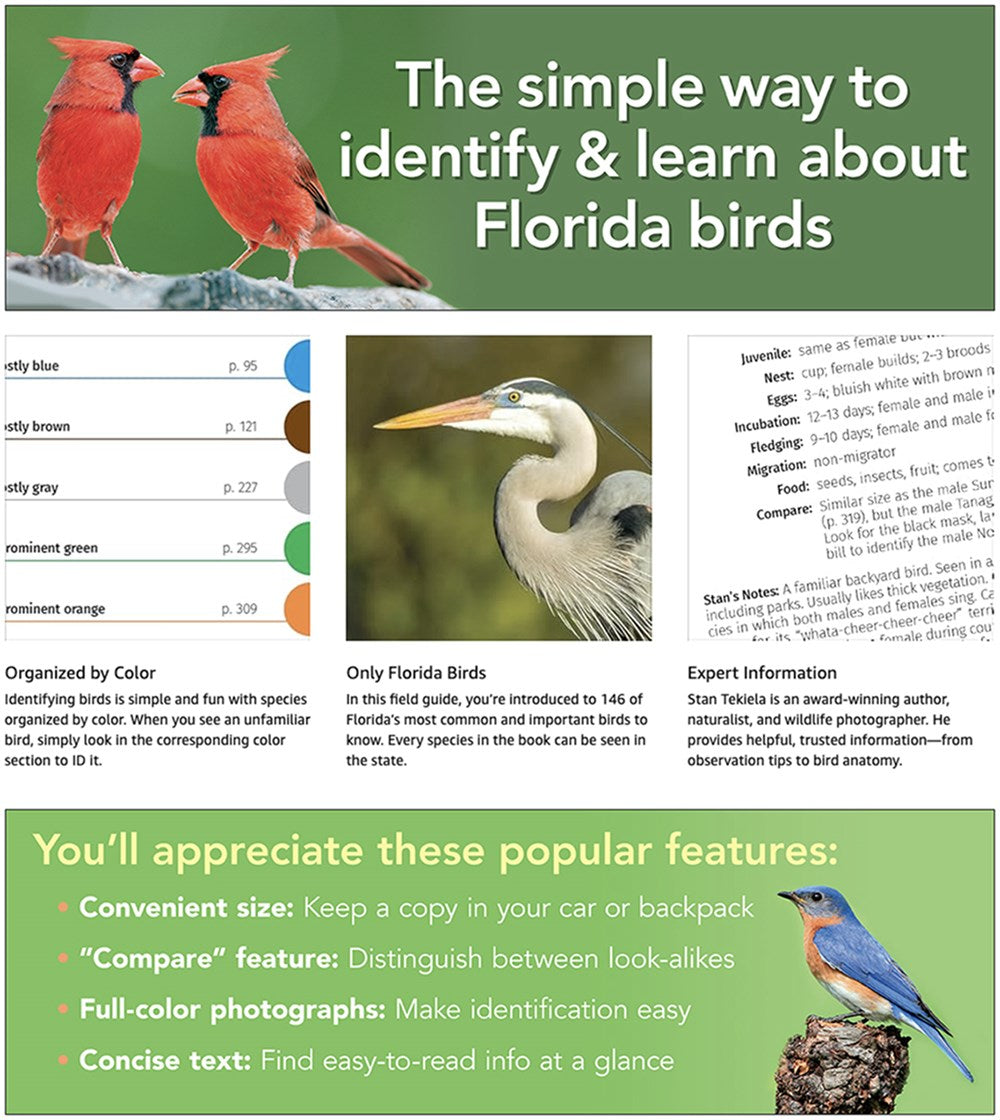 Birds of Florida Field Guide (Bird Identification Guides)