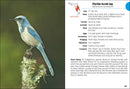 Birds of Florida Field Guide (Bird Identification Guides)