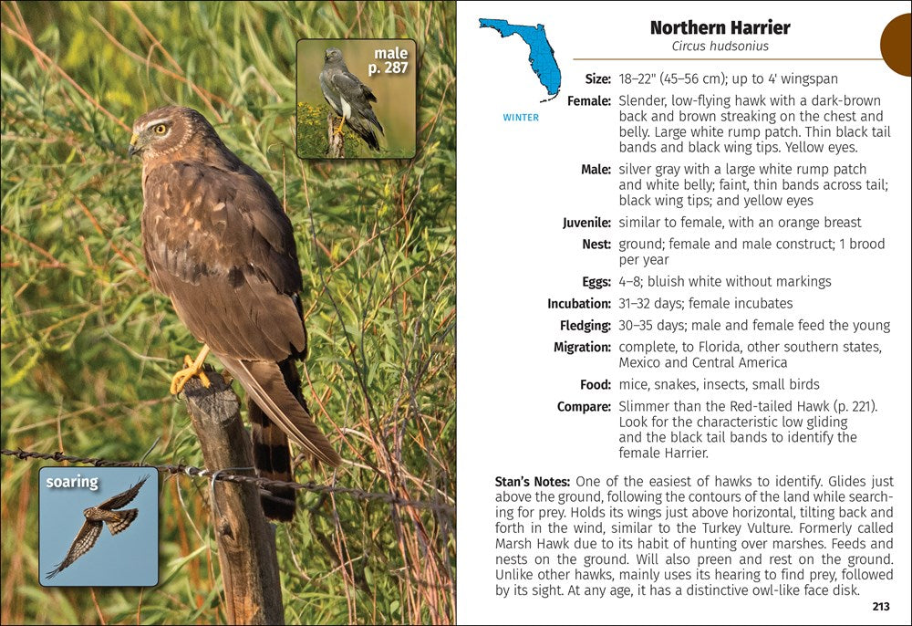 Birds of Florida Field Guide (Bird Identification Guides)