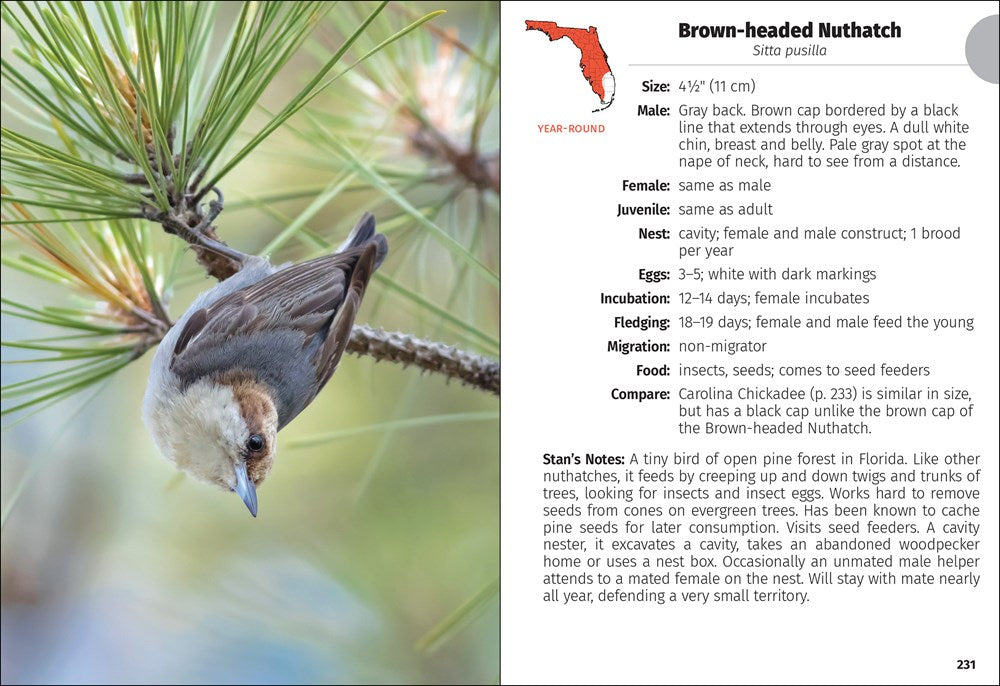 Birds of Florida Field Guide (Bird Identification Guides)