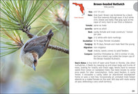 Birds of Florida Field Guide (Bird Identification Guides)