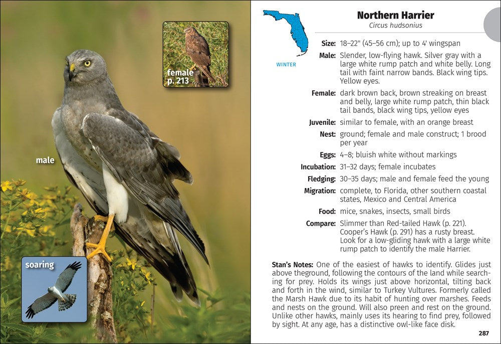 Birds of Florida Field Guide (Bird Identification Guides)