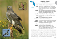 Birds of Florida Field Guide (Bird Identification Guides)