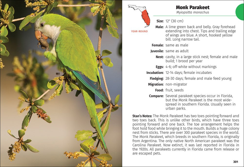 Birds of Florida Field Guide (Bird Identification Guides)