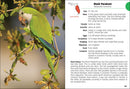 Birds of Florida Field Guide (Bird Identification Guides)