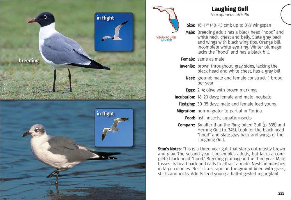 Birds of Florida Field Guide (Bird Identification Guides)