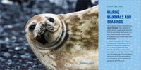 Ocean Animals for Kids: A Junior Scientist's Guide to Whales, Sharks, and Other Marine Life
