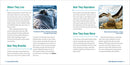 Ocean Animals for Kids: A Junior Scientist's Guide to Whales, Sharks, and Other Marine Life