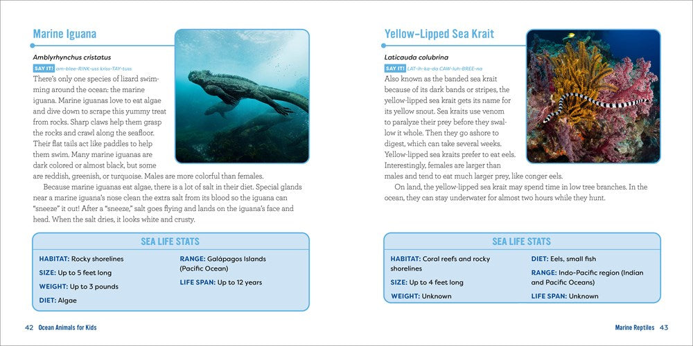 Ocean Animals for Kids: A Junior Scientist's Guide to Whales, Sharks, and Other Marine Life
