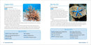 Ocean Animals for Kids: A Junior Scientist's Guide to Whales, Sharks, and Other Marine Life