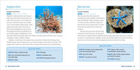 Ocean Animals for Kids: A Junior Scientist's Guide to Whales, Sharks, and Other Marine Life