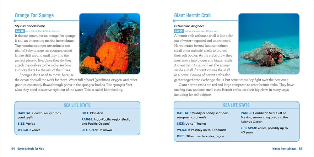 Ocean Animals for Kids: A Junior Scientist's Guide to Whales, Sharks, and Other Marine Life
