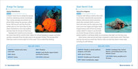 Ocean Animals for Kids: A Junior Scientist's Guide to Whales, Sharks, and Other Marine Life