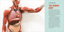 Human Anatomy for Kids: A Junior Scientist's Guide to How We Move, Breathe, and Grow