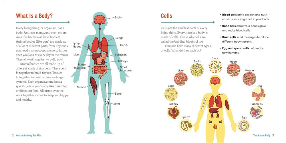 Human Anatomy for Kids: A Junior Scientist's Guide to How We Move, Breathe, and Grow
