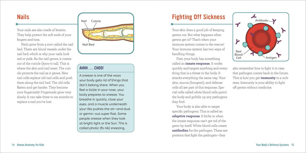 Human Anatomy for Kids: A Junior Scientist's Guide to How We Move, Breathe, and Grow