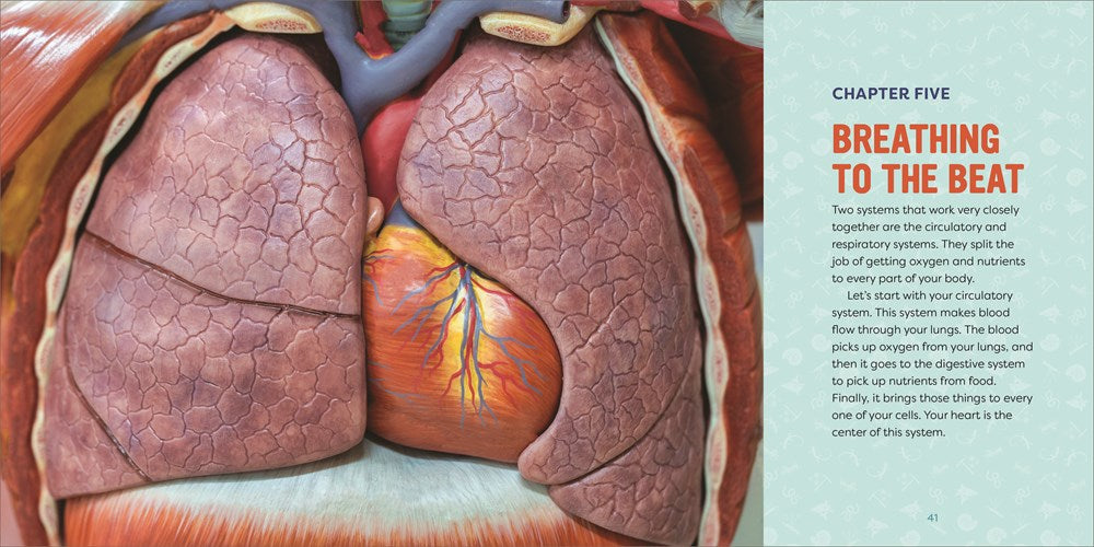 Human Anatomy for Kids: A Junior Scientist's Guide to How We Move, Breathe, and Grow