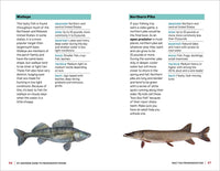 My Awesome Guide to Freshwater Fishing: Essential Techniques and Tools for Kids (My Awesome Field Guide for Kids)