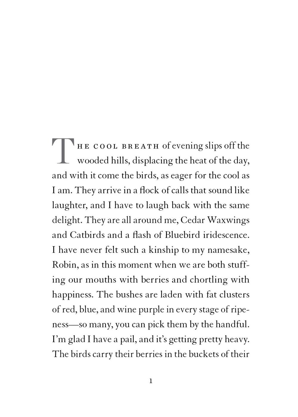 Coming Up Short: A Memoir of My America