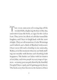 Coming Up Short: A Memoir of My America