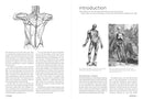 Morpho: Anatomy for Artists