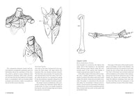 Morpho: Anatomy for Artists
