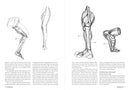 Morpho: Anatomy for Artists