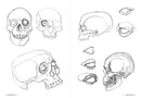 Morpho: Anatomy for Artists