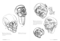Morpho: Anatomy for Artists