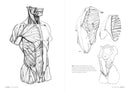 Morpho: Anatomy for Artists