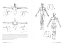 Morpho: Anatomy for Artists
