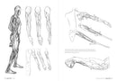 Morpho: Anatomy for Artists