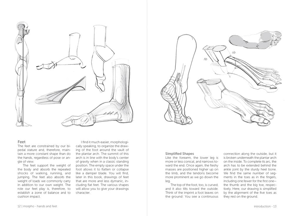 Morpho: Hands and Feet: Anatomy for Artists (Morpho: Anatomy for Artists, 5)