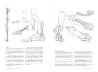 Morpho: Hands and Feet: Anatomy for Artists (Morpho: Anatomy for Artists, 5)