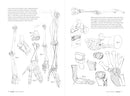 Morpho: Hands and Feet: Anatomy for Artists (Morpho: Anatomy for Artists, 5)