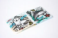 Color Me: Who's in the Water?