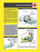 Strength Training Anatomy