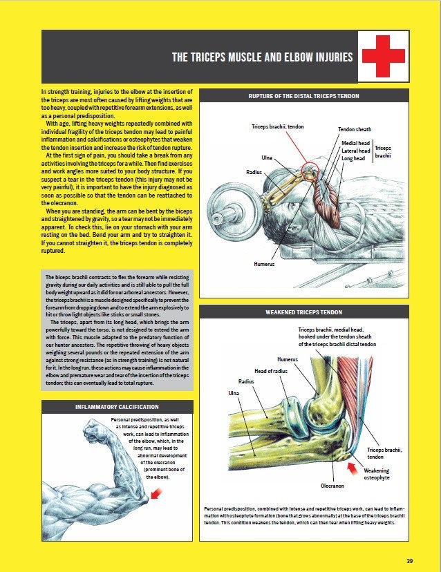Strength Training Anatomy