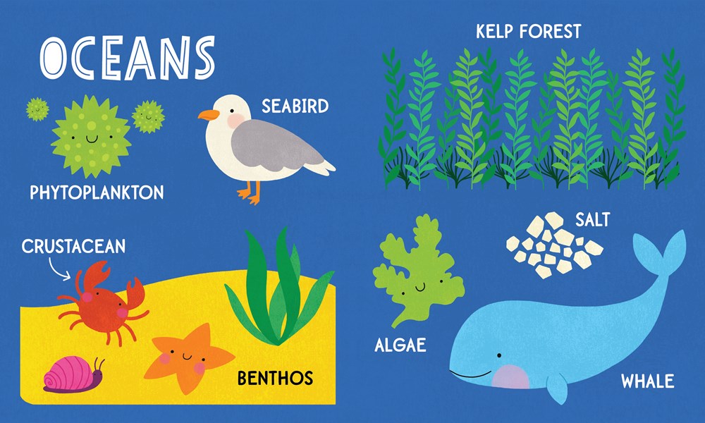 My First 100 Nature Words