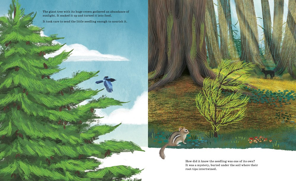 Listen to the Language of the Trees