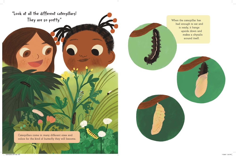 The Story of a Butterfly