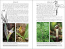 365 Days of Northern Nature