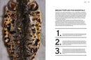 The Whole Fish Cookbook: New Ways to Cook, Eat and Think