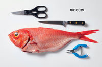 Fish Butchery: Mastering The Catch, Cut, And Craft