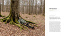 The Hidden Life of Trees: The Illustrated Edition (David Suzuki Institute)